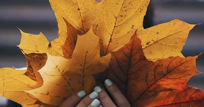 Manicure na jesień 2026 - stonowane kolory sezonu